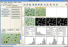 Системы анализа изображений Анализатор SIAMS 800